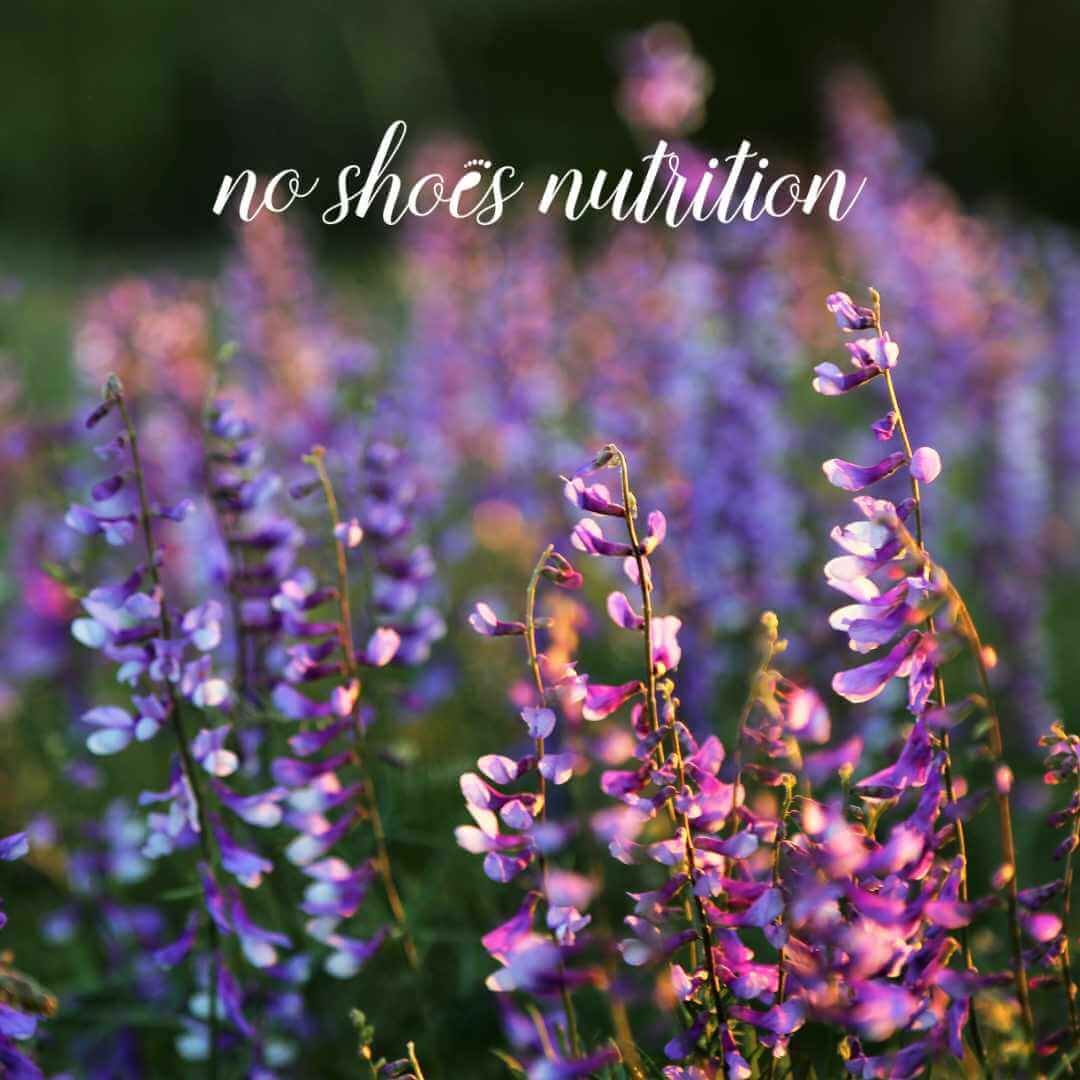 5 Science-Backed Steps to Refresh Your Digestive Health—No Shoes Nutrition