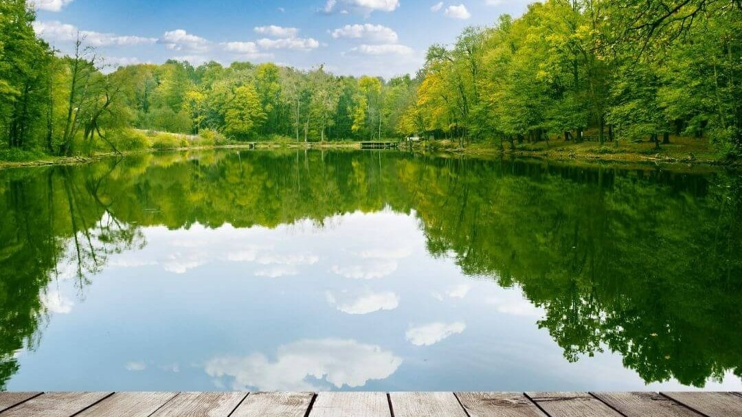 Simple and Fun Outdoor Activities for Body and Mind